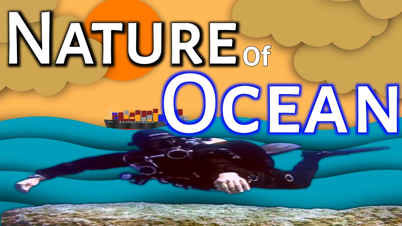 How to Ocean life the nature। Nature of Ocean। Sea creatures in water💧💦 🌊