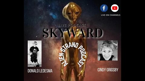 #82 Skyward - Special Guest (Cindy Grigsby)