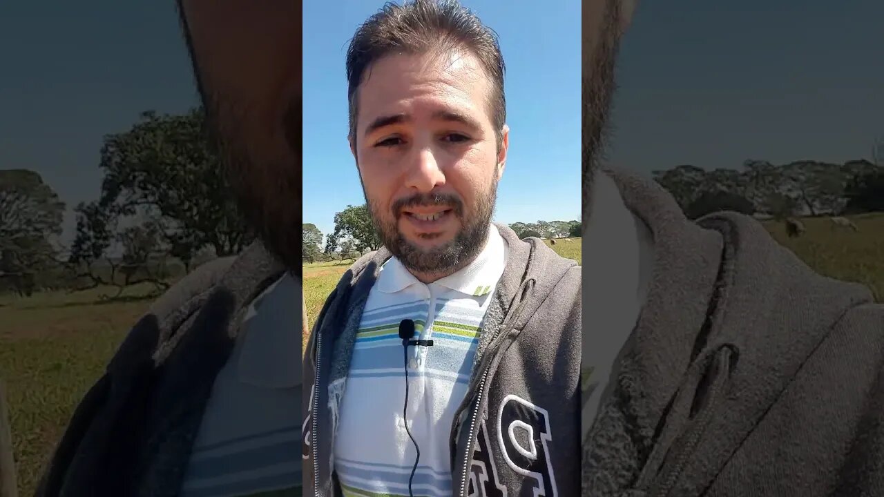 Justiça gratuita inverter o ônus da prova