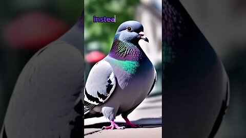 NEVER KNEW THIS?