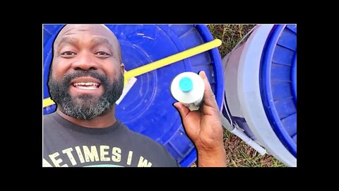 How We Cut Our Feed Bill in Half | Update