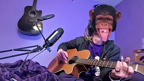 monkey changing mind