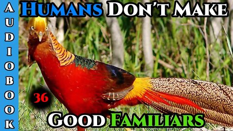 Humans are CHAOS - Humans Don't make Good Familiars (Ongoing) - Ch.36 | HFY | Fantasy |