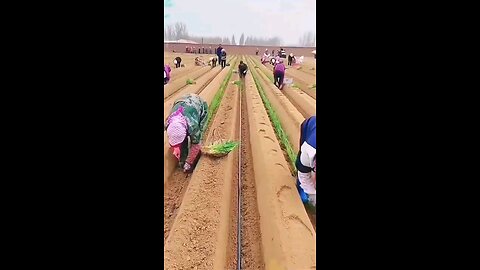 Agriculture