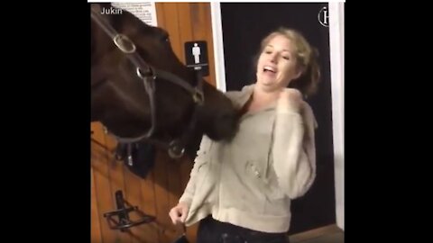 Interesting movements of horses