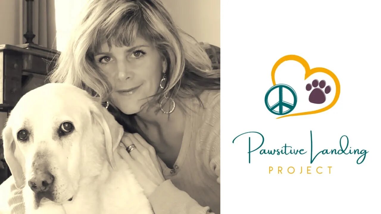 Interview with Jodi Ross of Pawsitive Landing Project