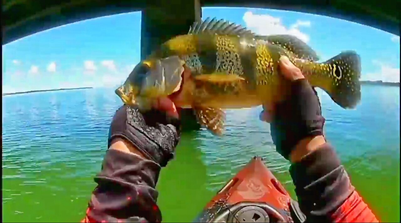 #7 Fishing Peacock Bass on the Bridge Pillar 3 - Kayak Fishing - Ultralight Fishing Style - Pesca de Tucunaré