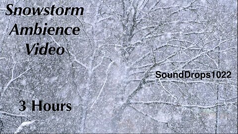 3 Hours of Tranquil Snowfall