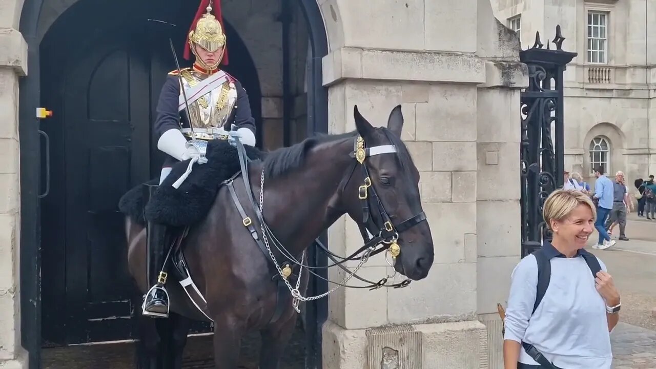 Horse tries to push her over #horseguardsparade