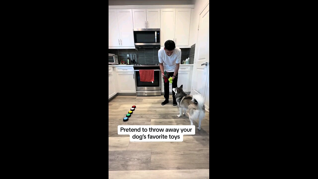Dog Communication toy