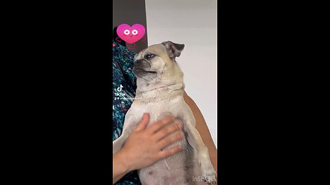 Pugloving