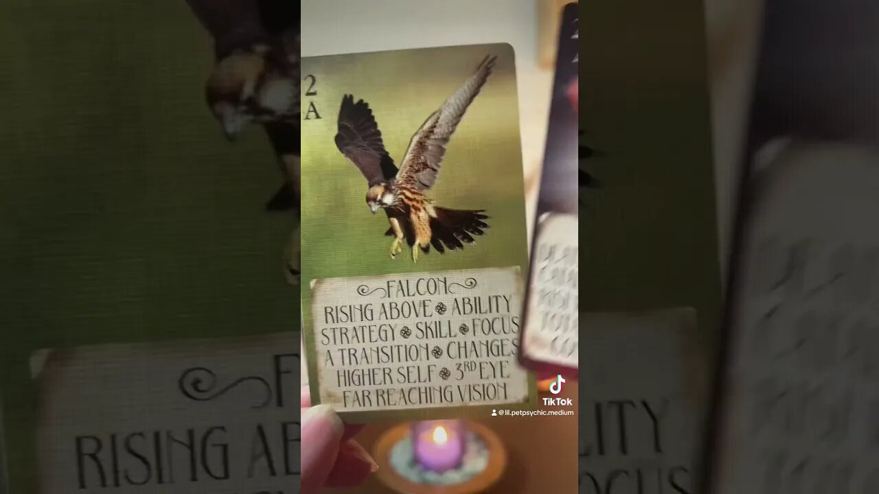 Free live readings on TT