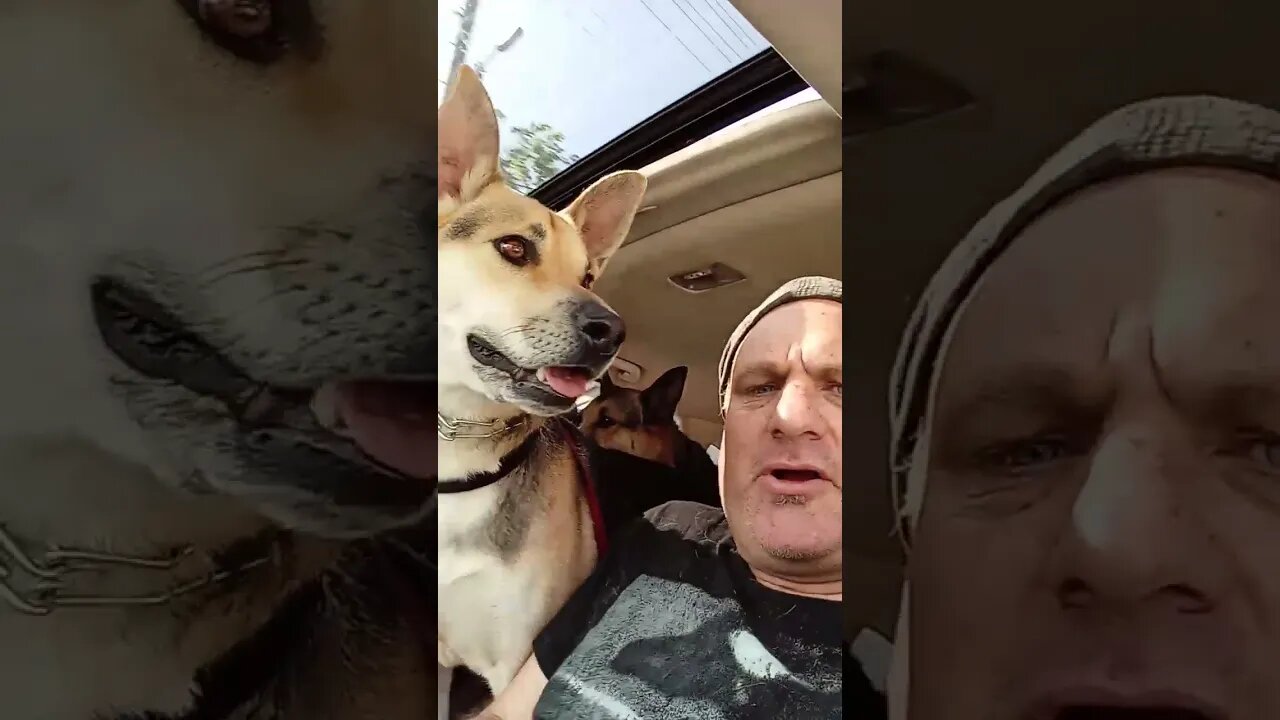 who's playing Hollywood bowl