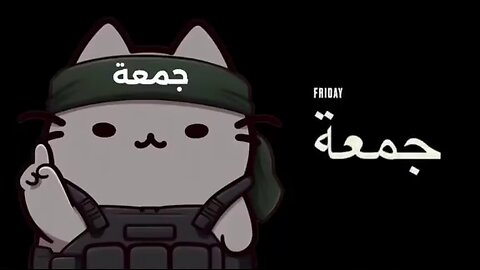 Commander Kitty