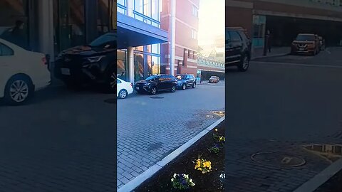 Good morning. 12 people have eyes to see and read.No parking.