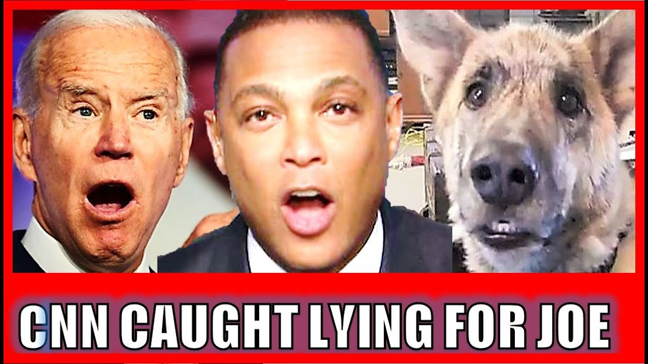 CNN Caught Red-Handed LYING for Biden (Liberals get Frustrated like that Talking Dog)