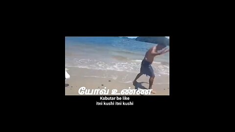 funnyvideos