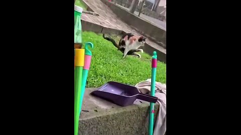 Yoga Master 🤣🤣