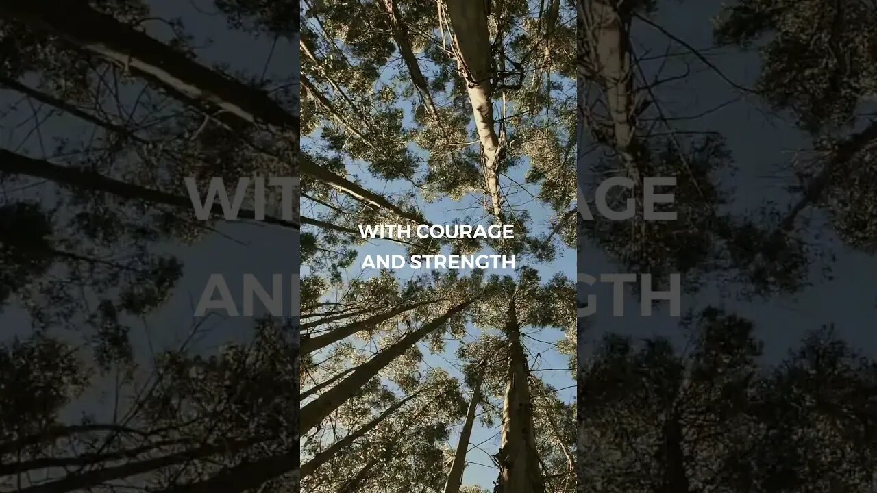 Listen to full meditations at Women's meditation network channel #meditation #sleep #shorts