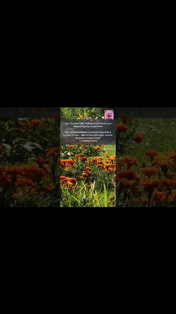 TEND to the Garden in your MIND #shorts #mindfulnessmeditation #naturebeauty
