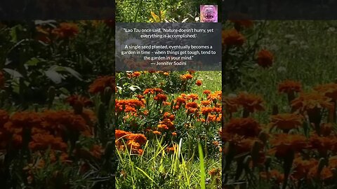 TEND to the Garden in your MIND #shorts #mindfulnessmeditation #naturebeauty