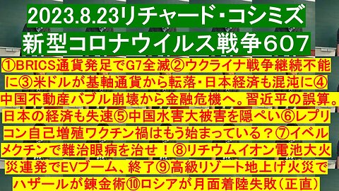 2023.8.23リチャード・コシミズ 新型コロナウイルス戦争６０７