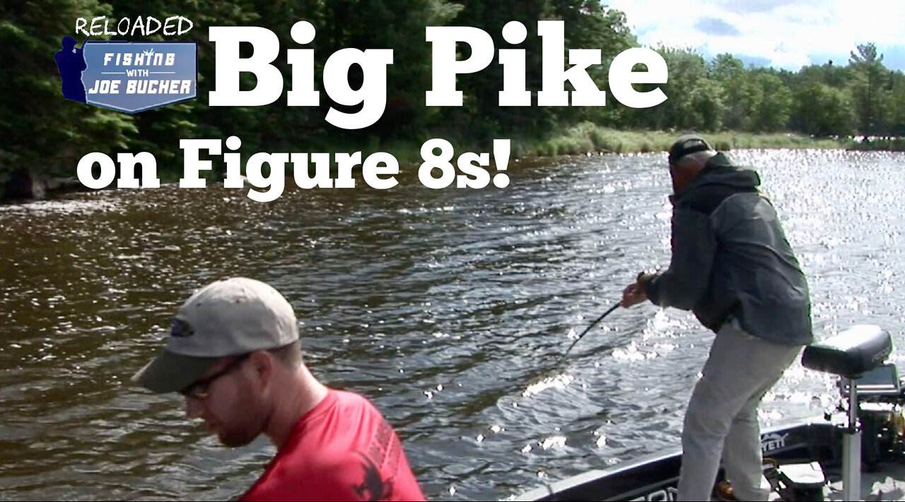 Do PIKE Fall For The Figure 8?
