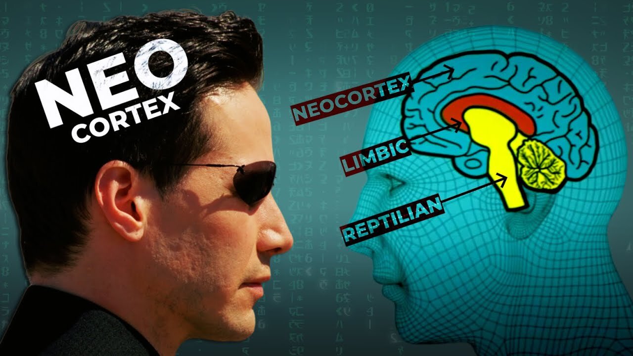 Trapped in the Reptilian Brain: The Real Matrix. Video Advise 10-5-2023