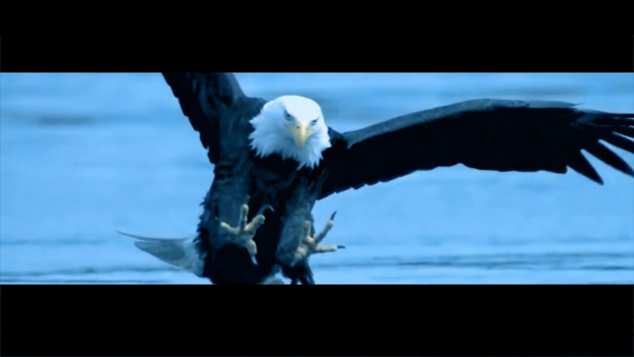 Rebirth Of A Patriot From Darkness to Light With The Unconquerable Spirit Of The American Eagle