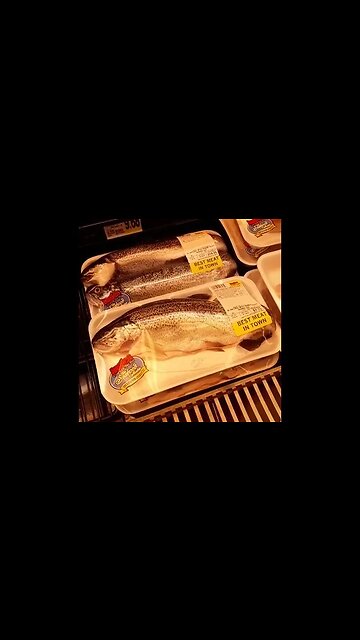 Catching Trout & having Ingles package them up for me 😁