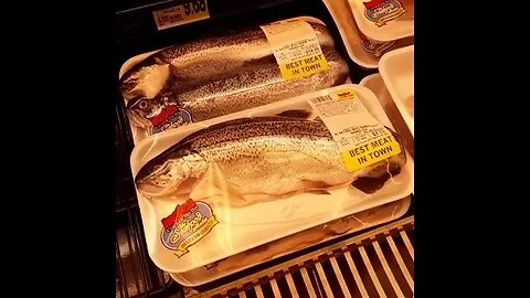 Catching Trout & having Ingles package them up for me 😁