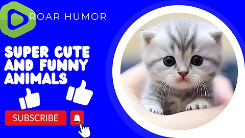 Super Cute and funny animals