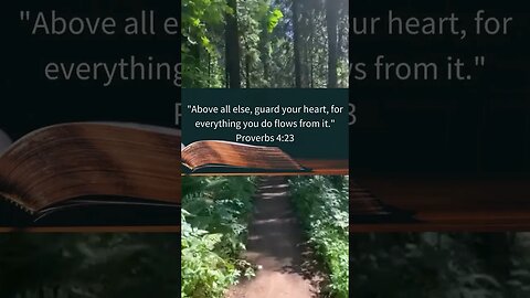 💕🌻 God's Message for You !!Today!Protecting One's Heart"✨💖