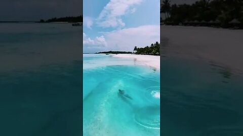 Best Way Tiktok joaocajuda