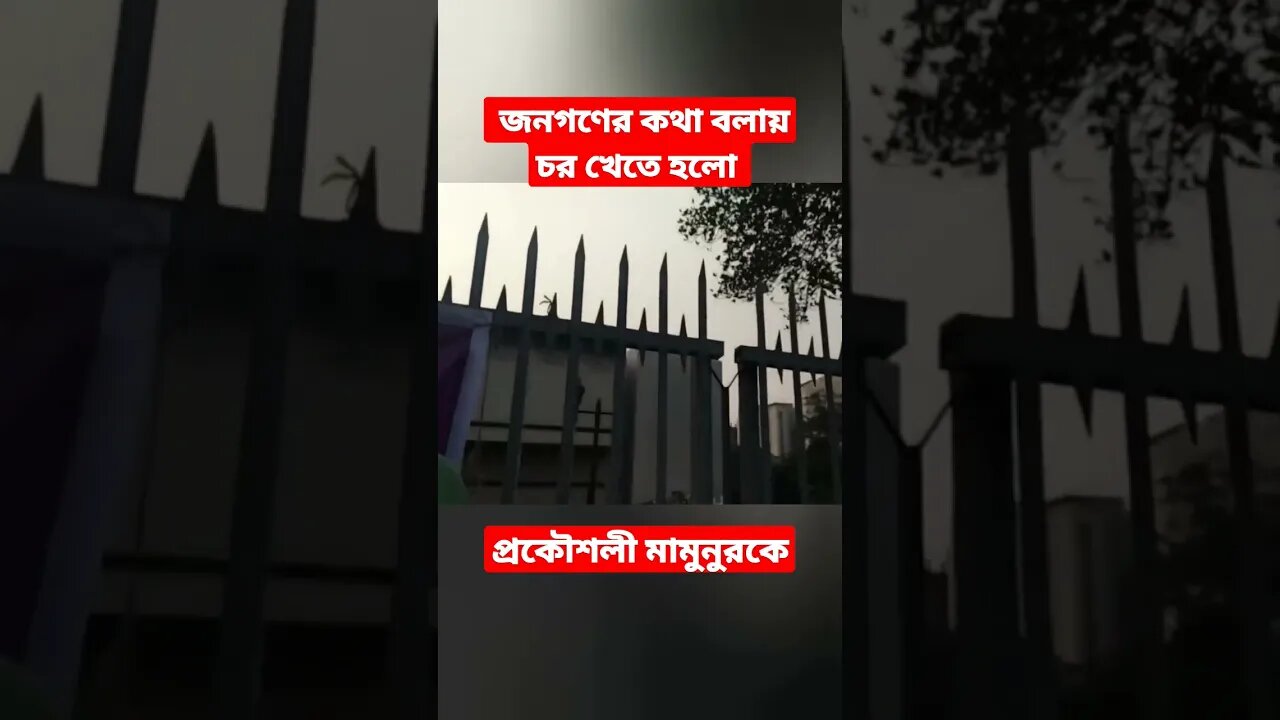 জনগণের কথা বলায় চড় খেলেন প্রকৌশলী মামুনুর হক।