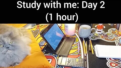 Study with me DAY:2 [calm sounds](CAT PURRS ) 1 HOUR