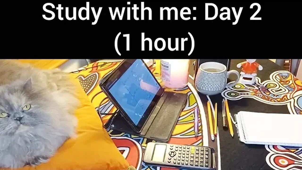 Study with me DAY:2 [calm sounds](CAT PURRS ) 1 HOUR