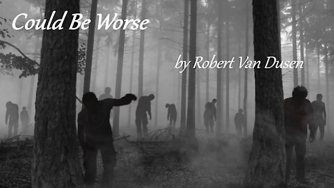 Could Be Worse by Robert Van Dusen