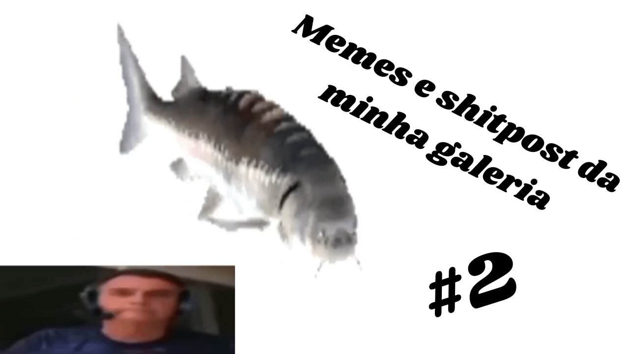 compilado de memes e shitpost da minha galeria #2