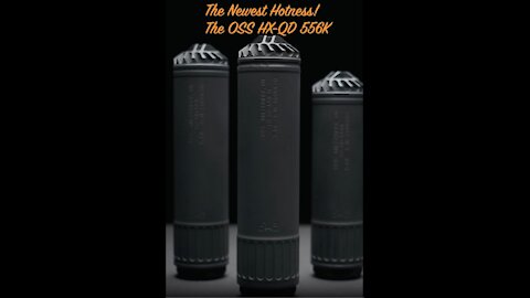 The Newest Hotness! OSS HX QD 556k suppressor