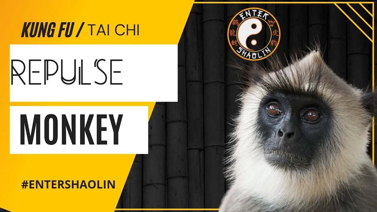 Tai Chi Chuan | Repulse Monkey | Applications | Kung Fu Training