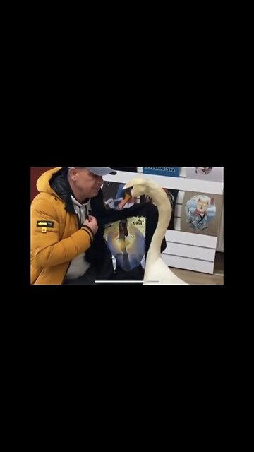 ( VAT ) Feel Good Clip Of The Day