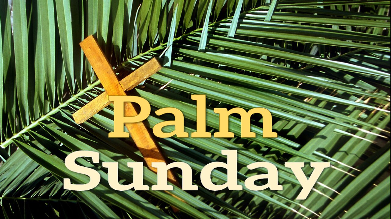 Palm Sunday - John 3:16 C.M. Sunday Morning Service LIVE Stream 3/24/2024