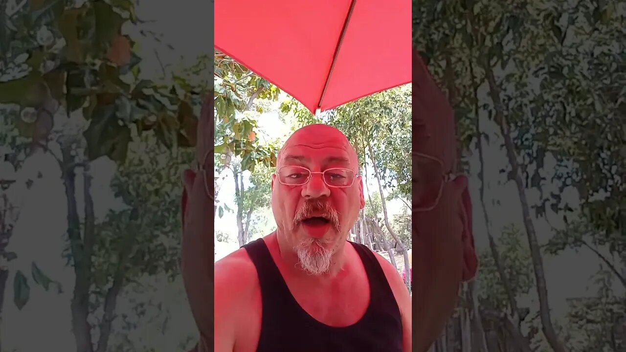 Live Air Gun Hang out today at 3:00 PM West Coast time!