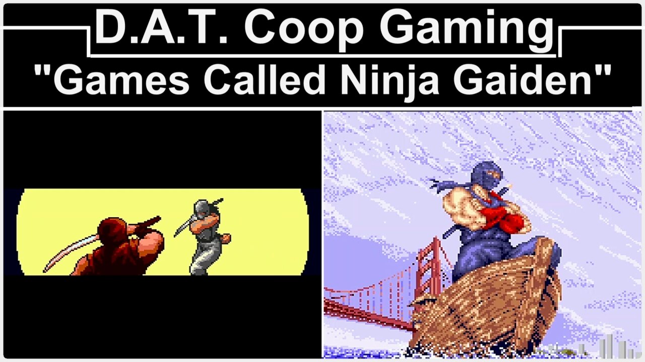 Games called NINJA GAIDEN (D.A.T. Coop Gaming)