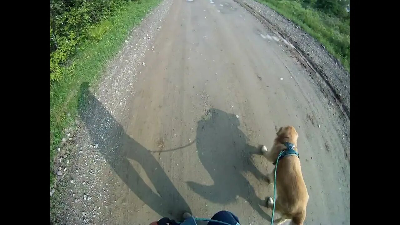 June 11th, 51 degrees, late start, Flynn and I go into Prentiss but he doesn't take care of business