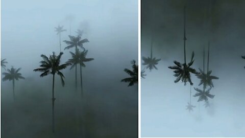 Beautiful stormy Environment of creative usuals