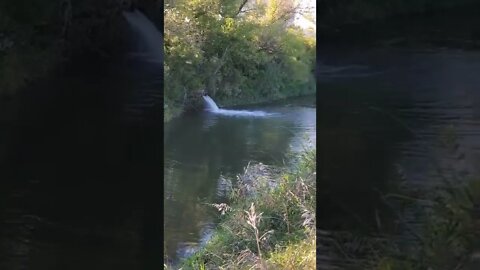soothing water spout and river!