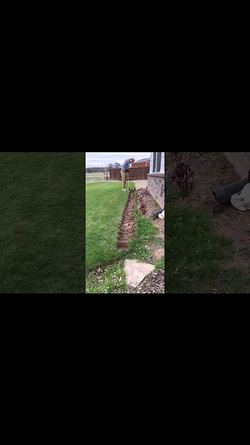 Hex Plugger Extending A Flower Bed