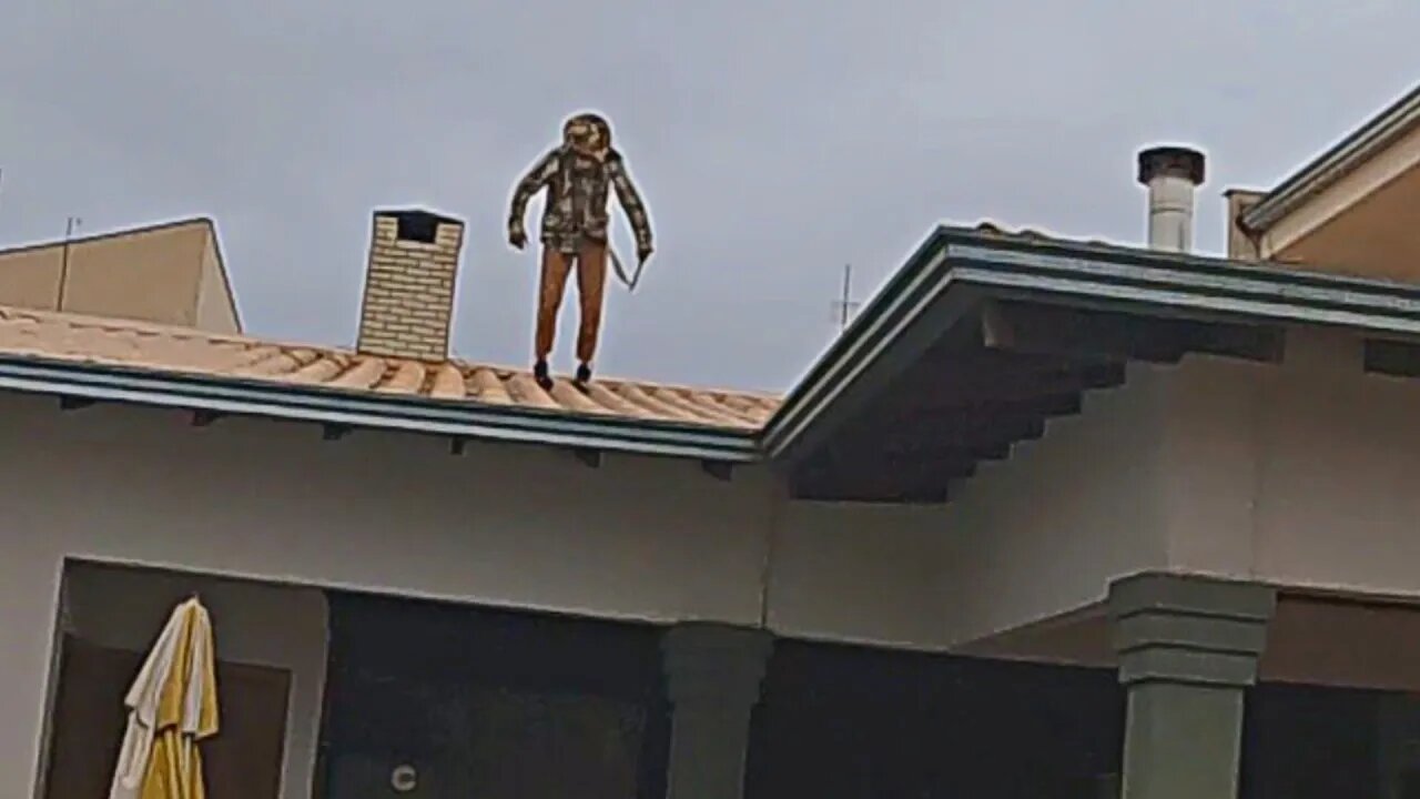 CANGACEIRO INVADE A CASA PELO TELHADO EM PLENA LUZ DO DIA